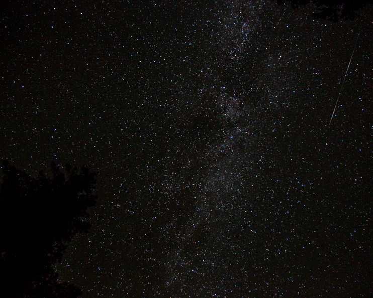 2015 10-Alta California- Starlight overhead .jpg